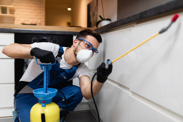 Best Pest Inspection Near Me  in Lewisburg, OH
