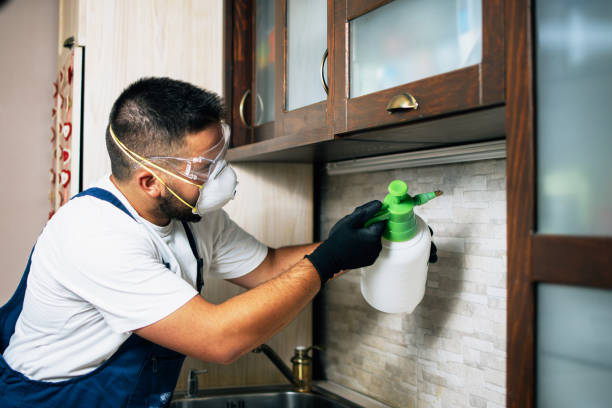 Pest Prevention Services in Lewisburg, OH