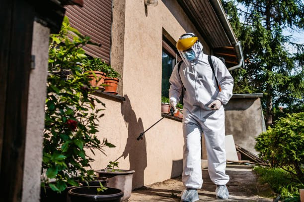 Best Cockroach Control Services  in Lewisburg, OH
