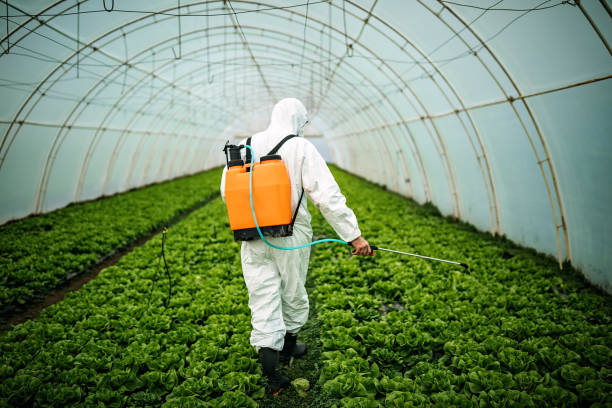 Professional Pest Control in Lewisburg, OH