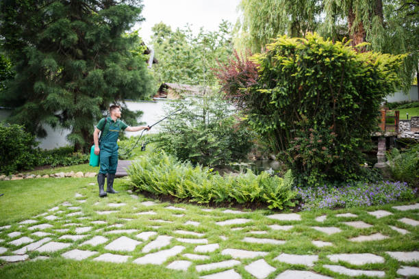 Best Pest Control Treatment  in Lewisburg, OH