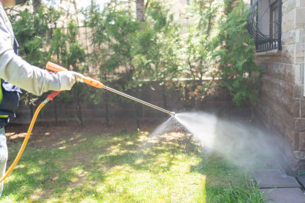 Bird Control in Lewisburg, OH