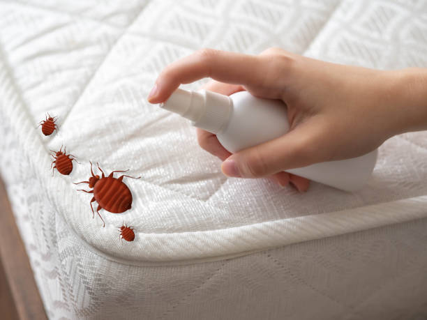 Best Pest Control Near Me  in Lewisburg, OH