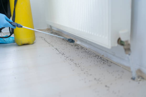 Best Wildlife Control Services  in Lewisburg, OH