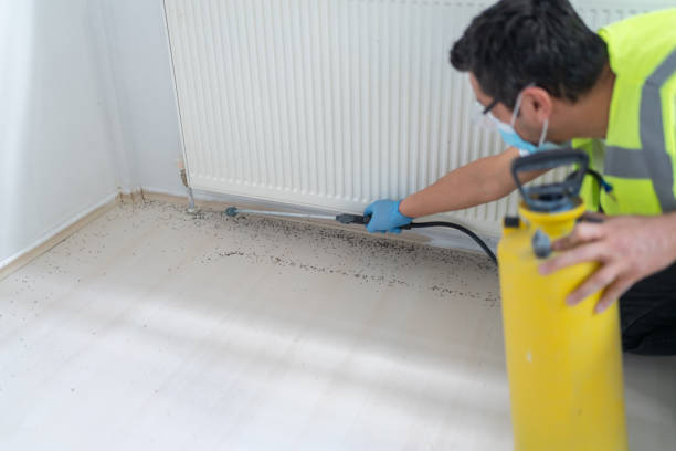 Best Pest Prevention Services  in Lewisburg, OH