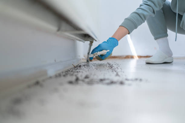 Best Emergency Pest Control  in Lewisburg, OH